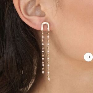 NWT Etikka Double Chain Drop Earrings